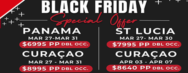 Black Friday Special